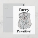 Pesquisar por maltês cartoes postais Adorável