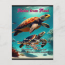 Pesquisar por havaiano cartoes postais Ilhas havaianas