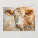 Pesquisar por amante da vaca cartoes postais Amante das vacas