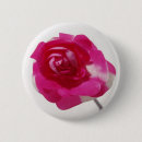 Pesquisar por perfeito botons Rosa