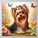 Pesquisar por yorkshire terrier pôsteres Cachorros bonitos