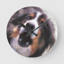 Pesquisar por border collie relogios de parede Reunindo o cão