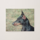 Pesquisar por pinscher diminuto Cão