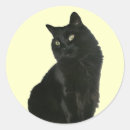 Pesquisar por gato doméstico adesivos Preto