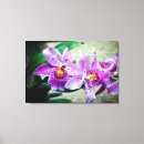 Pesquisar por orquídeas roxas impressão de canvas Flor