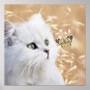 Pesquisar por gato e branco pôsteres Qualquer pessoa