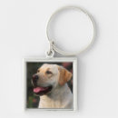 Pesquisar por labrador retriever chaveiros Fofo