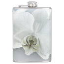 Pesquisar por orquídea cantis Elegante