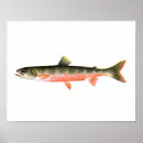 Pesquisar por pesca de mar profundo Pesca com mosca