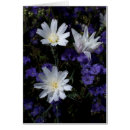 Pesquisar por wildflower do deserto cartoes postais Azul