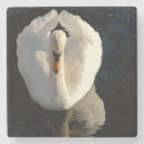 Pesquisar por cisne porta copos Pintura