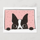 Pesquisar por de boston cartoes postais Rosa