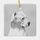 Pesquisar por argentinos ornamentos Dogo argentino