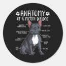 Pesquisar por mastiff inglês adesivos Cachorros