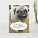 Pesquisar por pug valentine cartoes Romântico