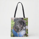 Pesquisar por pug bolsas Bonito