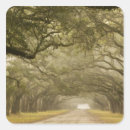 Pesquisar por joanne adesivos Pacífico