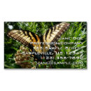 Pesquisar por foto da borboleta cartao de visita Inseto