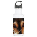 Pesquisar por animais garrafa agua Canino