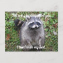 Pesquisar por raccoon cartoes postais Racoon