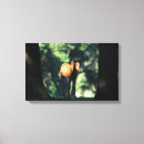 Pesquisar por potros impressão de canvas Equestre