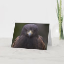 Pesquisar por de eagle cartoes Pássaro