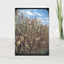 Pesquisar por corno cartoes Azul