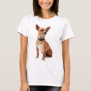Pesquisar por chihuahua femininas camisetas Cão