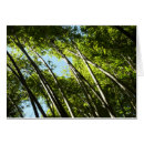 Pesquisar por bambu verde cartoes Floresta