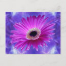 Pesquisar por gerbera cartoes postais Pensando em você