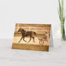 Pesquisar por trotting cartoes postais Bay