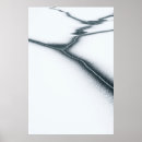 Pesquisar por desenhos preto e branco pôsteres Natureza