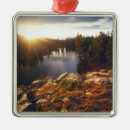 Pesquisar por sierra ornamentos Floresta