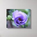 Pesquisar por azul rosa impressão de canvas Flores