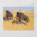Pesquisar por cavalos americanos cartoes postais Belas artes