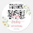 Pesquisar por vaca redonda adesivos Rosa