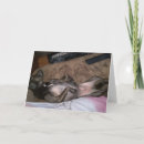 Pesquisar por amigo cartoes Crianças