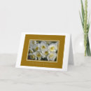 Pesquisar por renovação do voto cartoes Parabéns