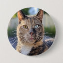 Pesquisar por gato acessorios botons Personalizar