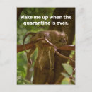 Pesquisar por acordar cartoes postais Dormir