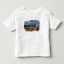 Pesquisar por castello camisetas Europe
