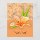 Pesquisar por lilium Obrigado