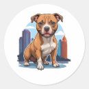 Pesquisar por staffordshire bull terrier adesivos Animal