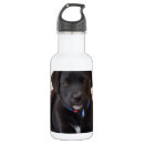 Pesquisar por labrador garrafa agua Preto