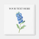 Pesquisar por isolado imas Bluebonnets