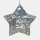 Pesquisar por estrelas de prata ornamentos Inverno