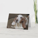 Pesquisar por cão de caça cartoes Basset