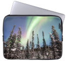 Pesquisar por aurora boreal capas Floresta