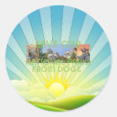 Pesquisar por doge adesivos Estados unidos