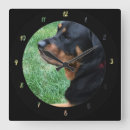 Pesquisar por aniversário uma de relogios de parede Cão